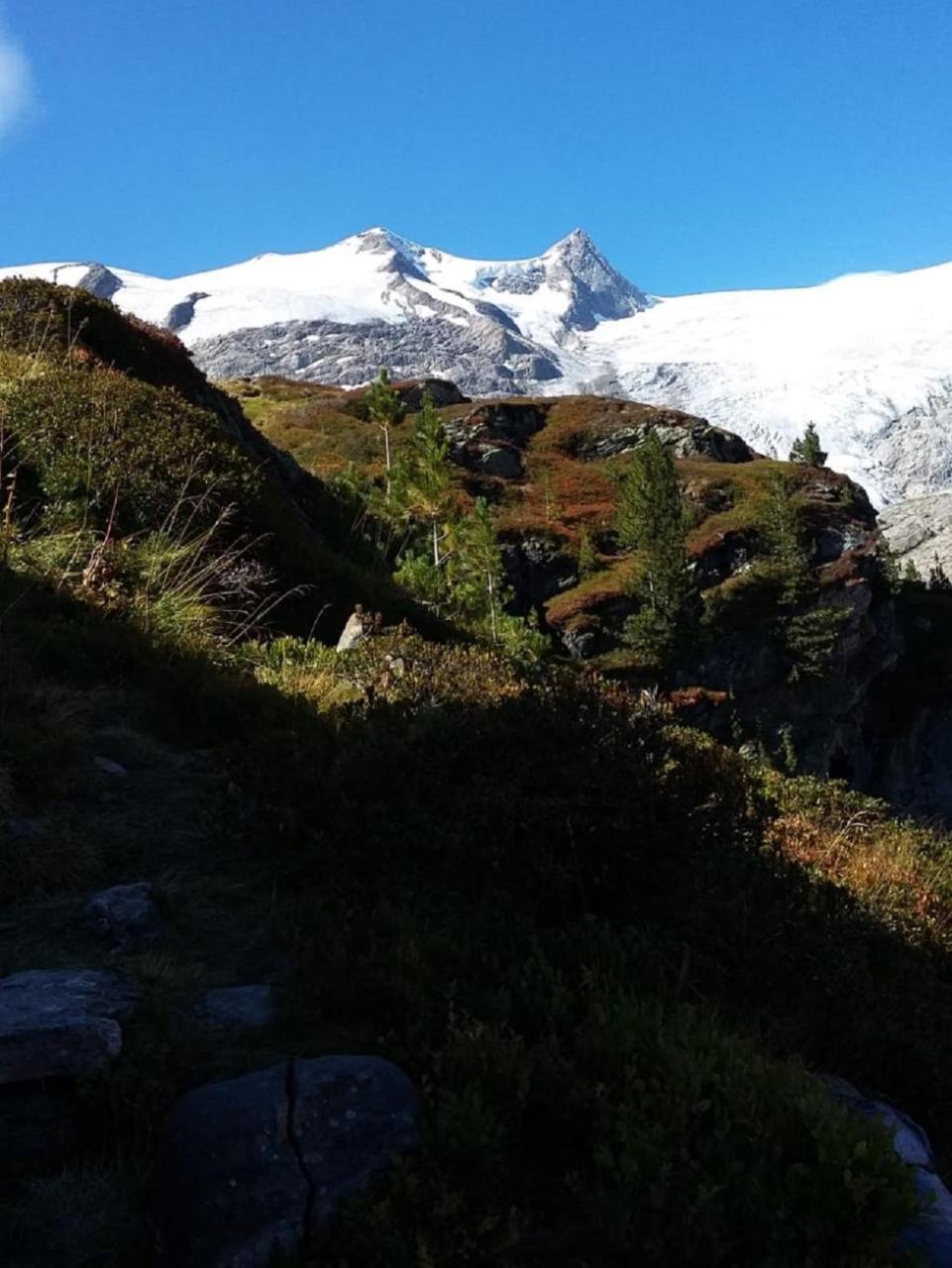 Gaestehaus Zedlacherhof Matrei in Osttirol Exterior foto